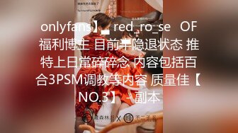 onlyfans】⭐red_ro_se⭐OF福利博主 目前半隐退状态 推特上日常碎碎念 内容包括百合3PSM调教等内容 质量佳【NO.3】 - 副本