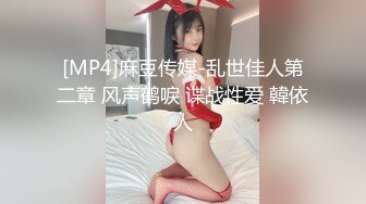 [MP4]麻豆传媒-乱世佳人第二章 风声鹤唳 谍战性爱 韓依人