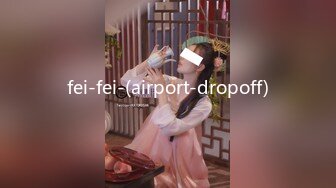 fei-fei-(airport-dropoff)