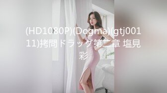 (HD1080P)(Dogma)(gtj00111)拷問ドラッグ第二章 塩見彩