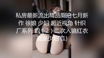 私房最新流出精品厕拍七月新作 徐娘 少妇 超近视角 针织厂系列 四（2）二次入镜红衣高跟少妇 (1)