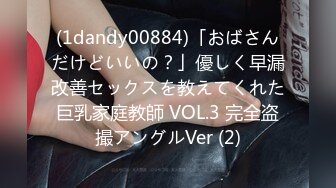 (1dandy00884)「おばさんだけどいいの？」優しく早漏改善セックスを教えてくれた巨乳家庭教師 VOL.3 完全盗撮アングルVer (2)