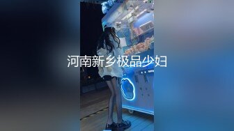 河南新乡极品少妇