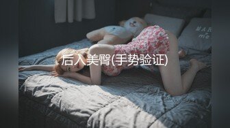 后入美臀(手势验证)