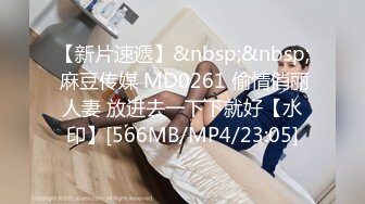 【新片速遞】&nbsp;&nbsp; 麻豆传媒 MD0261 偷情俏丽人妻 放进去一下下就好【水印】[566MB/MP4/23:05]