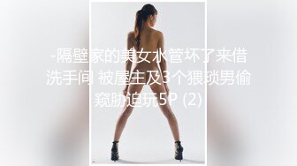 -隔壁家的美女水管坏了来借洗手间 被屋主及3个猥琐男偷窥胁迫玩5P (2)