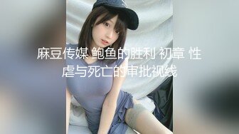 麻豆传媒 鲍鱼的胜利 初章 性虐与死亡的审批视线