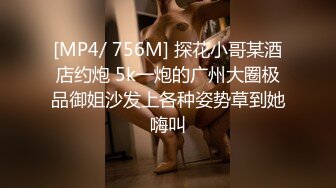 [MP4/ 756M] 探花小哥某酒店约炮 5k一炮的广州大圈极品御姐沙发上各种姿势草到她嗨叫